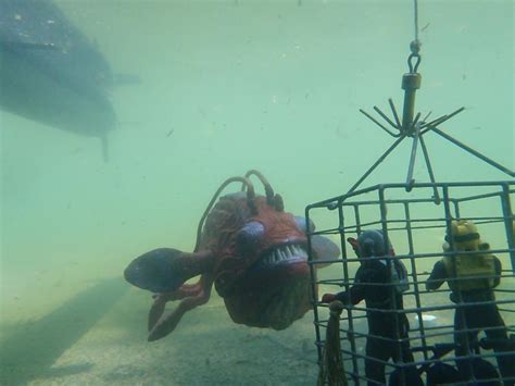 Underwater Hauntings: Exploring the Abyssal Terror of Unknown Waters!